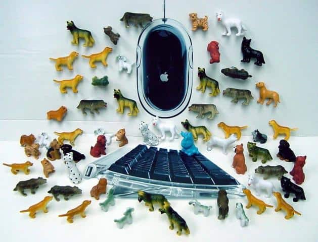 Small Dogs collection